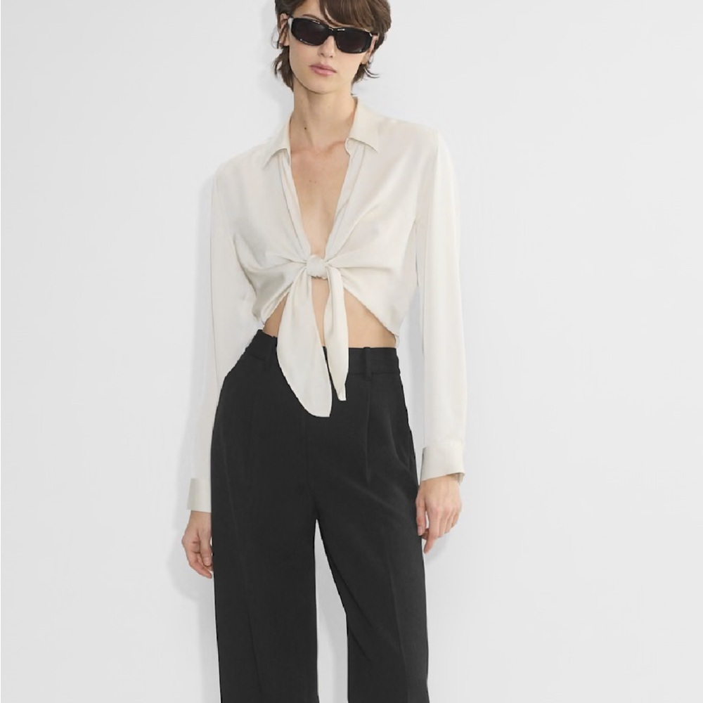 Aritzia Babaton Satin Matte Pearl Blouse